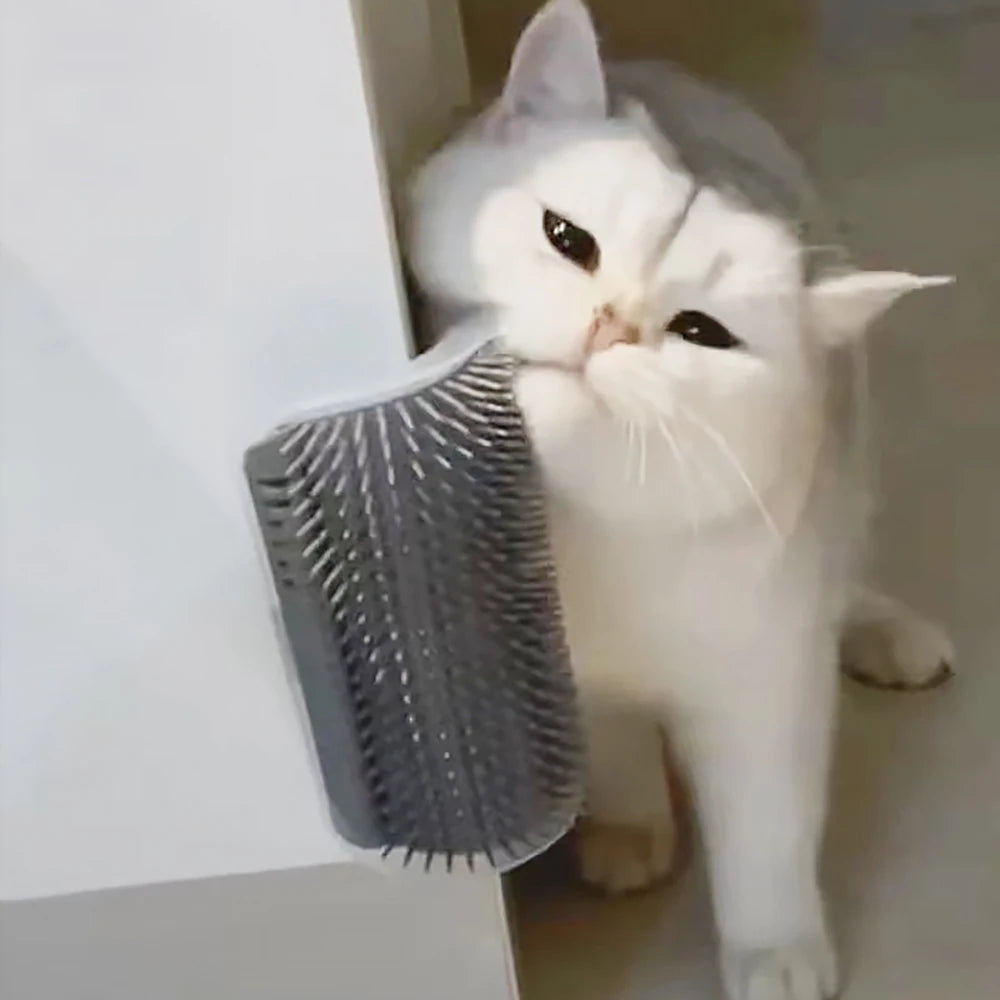 Köşe Masaj Tarağı – Kedi İçin Tüy Toplayıcı, Catnip Uyumlu Sabit Masaj Fırçası