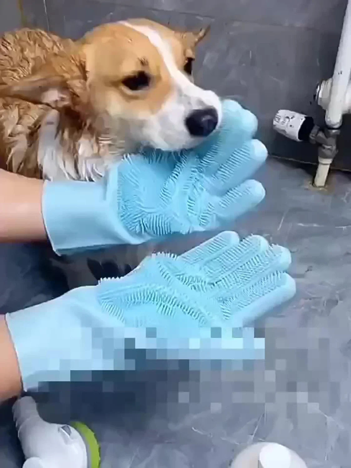Çok Amaçlı Silikon Tımar Eldiveni – Kedi & Köpekler İçin Banyo, Masaj ve Tüy Temizleme Eldiveni