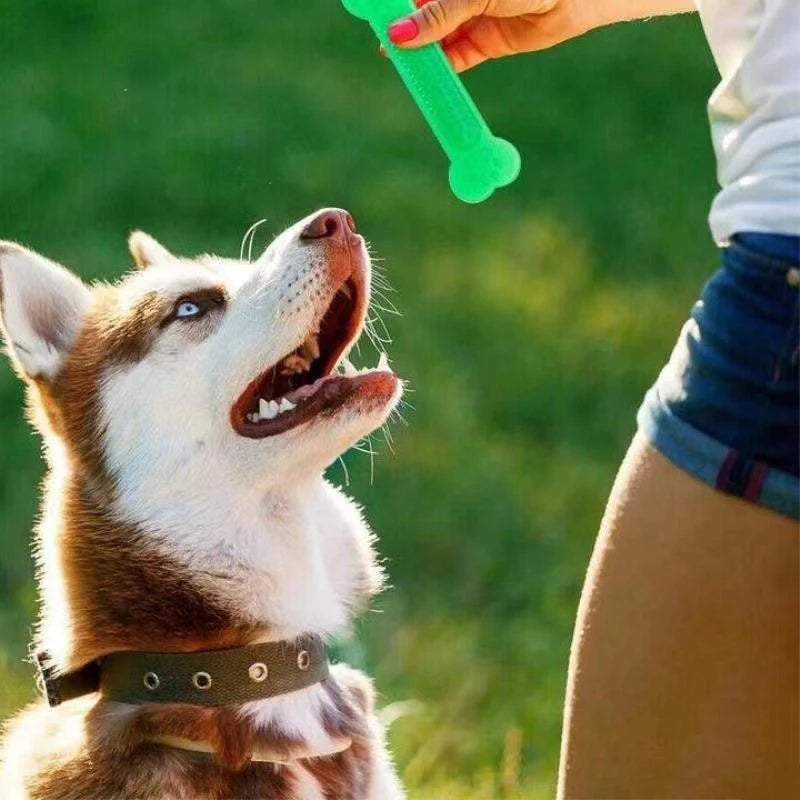 Dayanıklı Köpek Çiğneme Oyuncağı – Diş Temizleyici Kauçuk Kemik Oyuncak